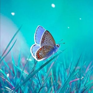 Meet your Posher, Maedeh